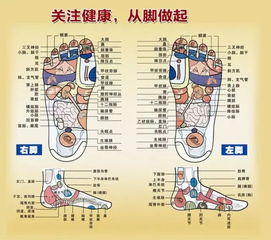好孝心健康生活馆中药熏蒸足疗,只需5元