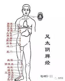 足疗必读 快速疏通经络的12个小秘密